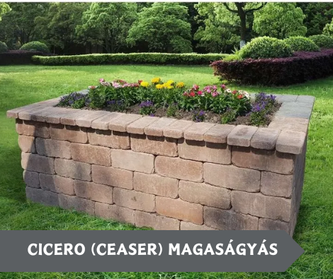 CICERO (CEASER) MAGASÁGYÁS
