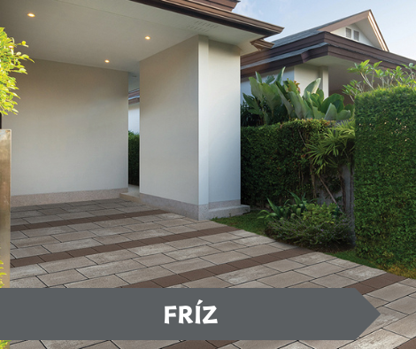 FRÍZ