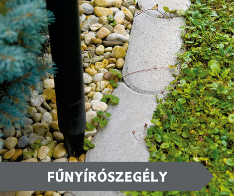FŰNYÍRÓSZEGÉLY